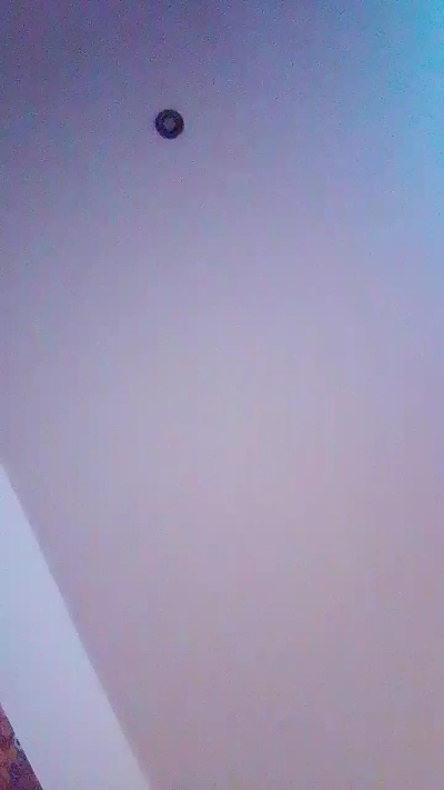BOOMPAT81 from Germany