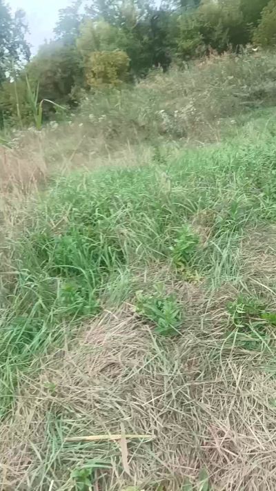 Dvjkjvgbnnk from Hungary