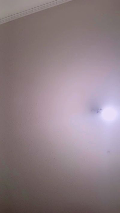 luna_tejedora from Chile