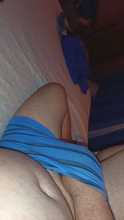 sebalv3 from Chile